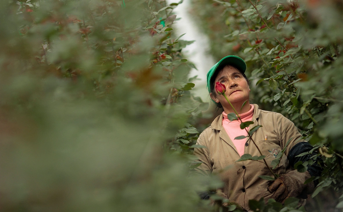 Jhon Heaver Paz / Xinhua / Global Look Press