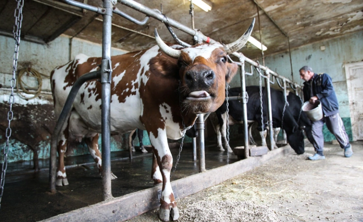 Екатерина Кузьмина / РБК