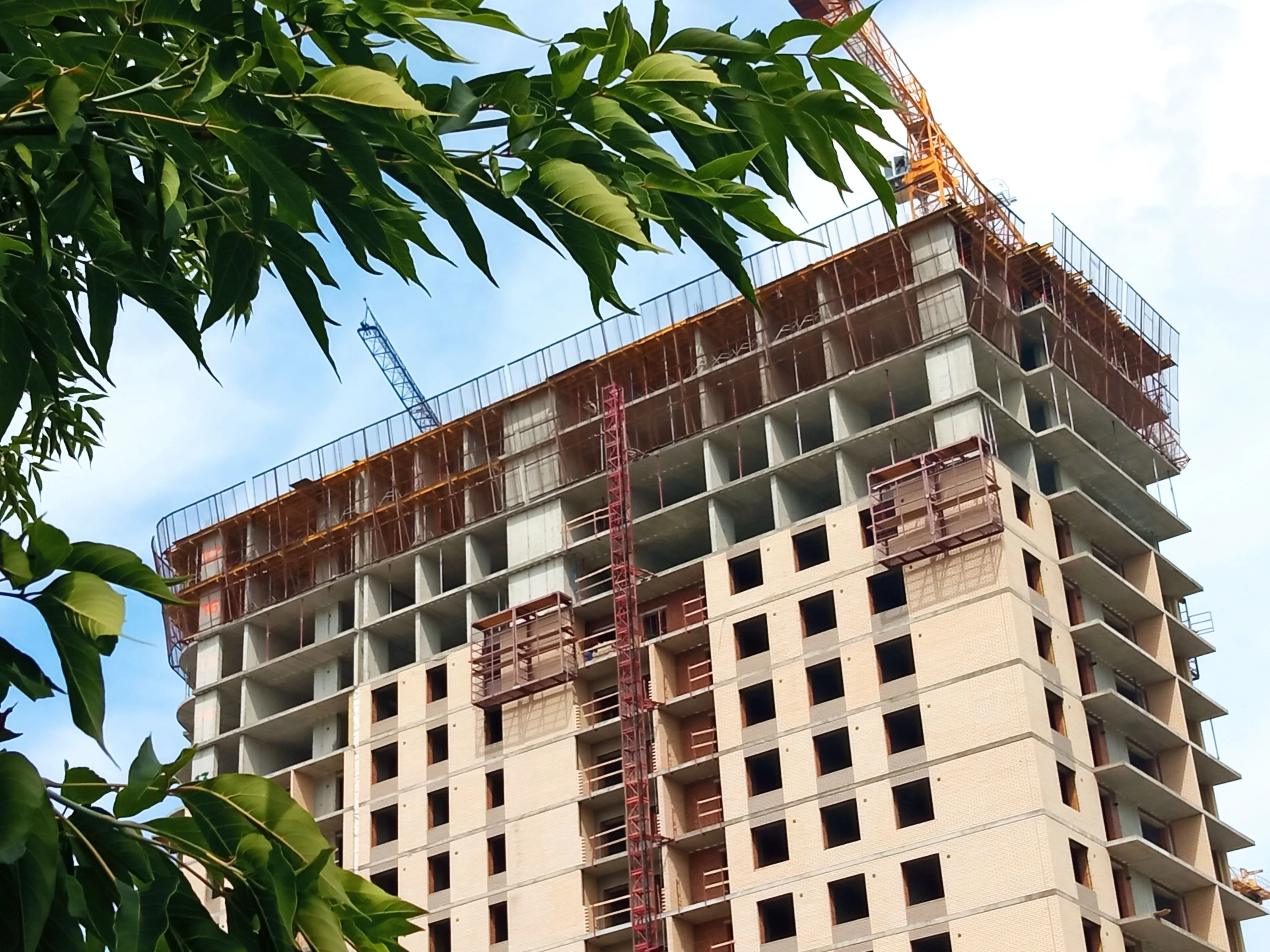 РБК Новосибирск