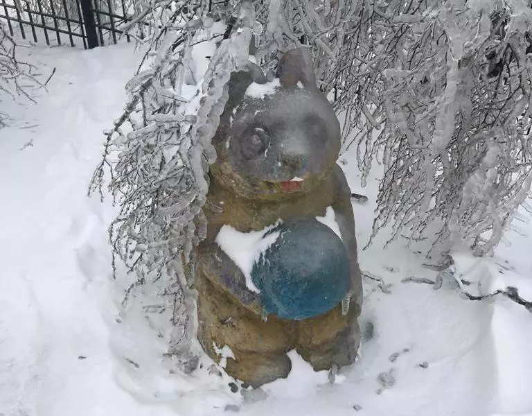 РБК Приморье