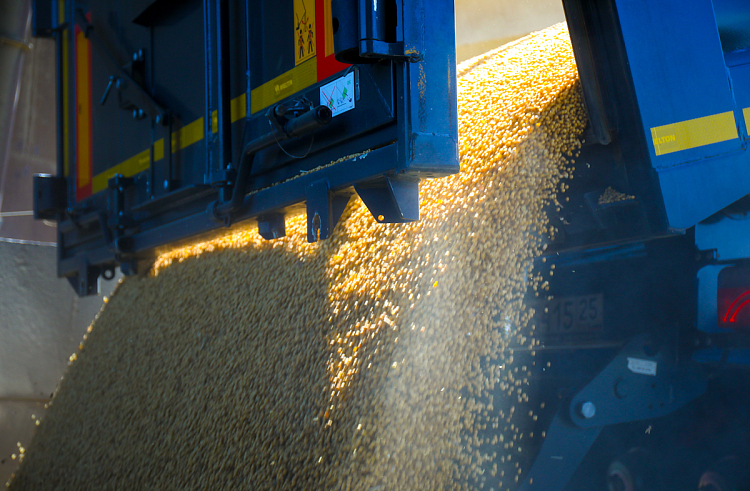 пресс-служба правительства Приморского края