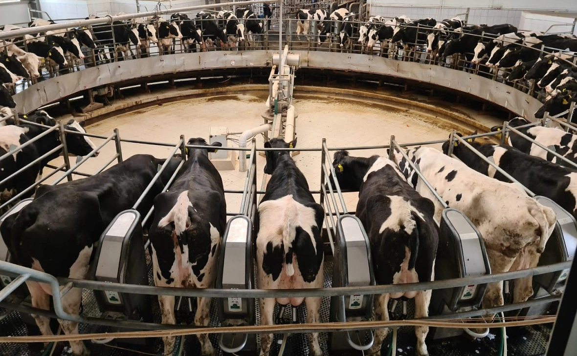 РБК Черноземье