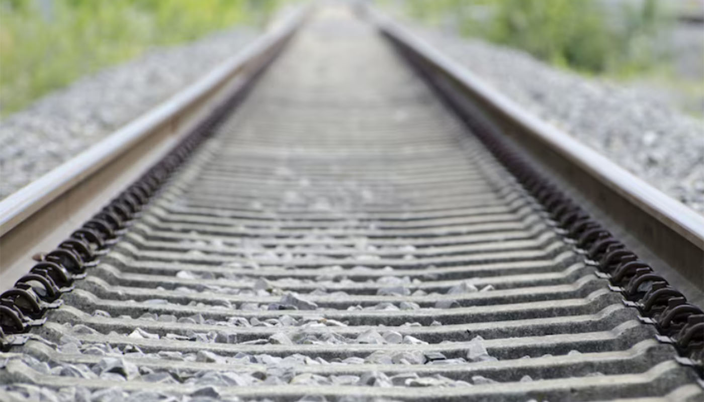 Фото: ru.freepik.com, wirestock 