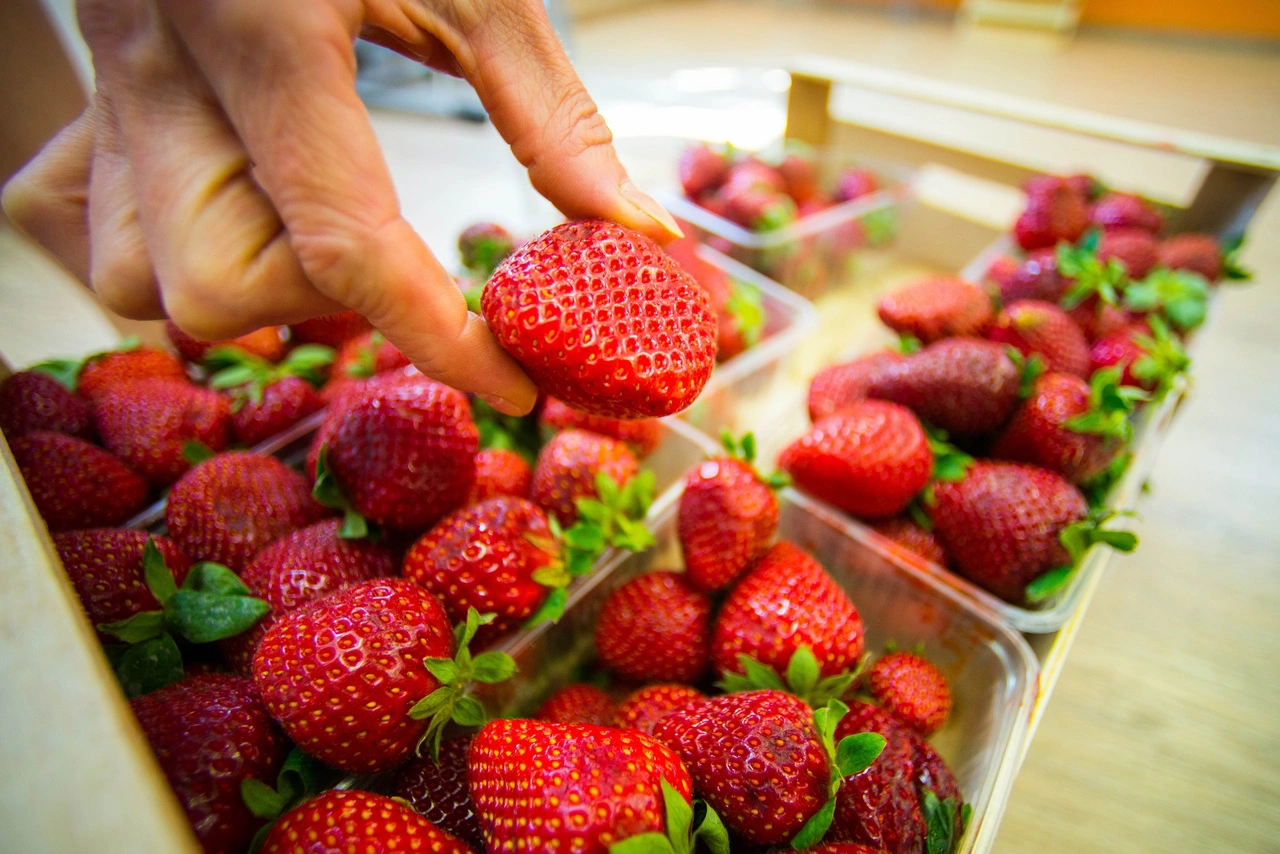 Владимир Жабриков / РИА URA.RU