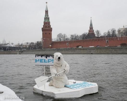 В Петербурге белый медведь пожаловался премьеру Норвегии на Statoil