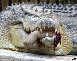 Хирурги пришили ветеринару откушенную крокодилом руку