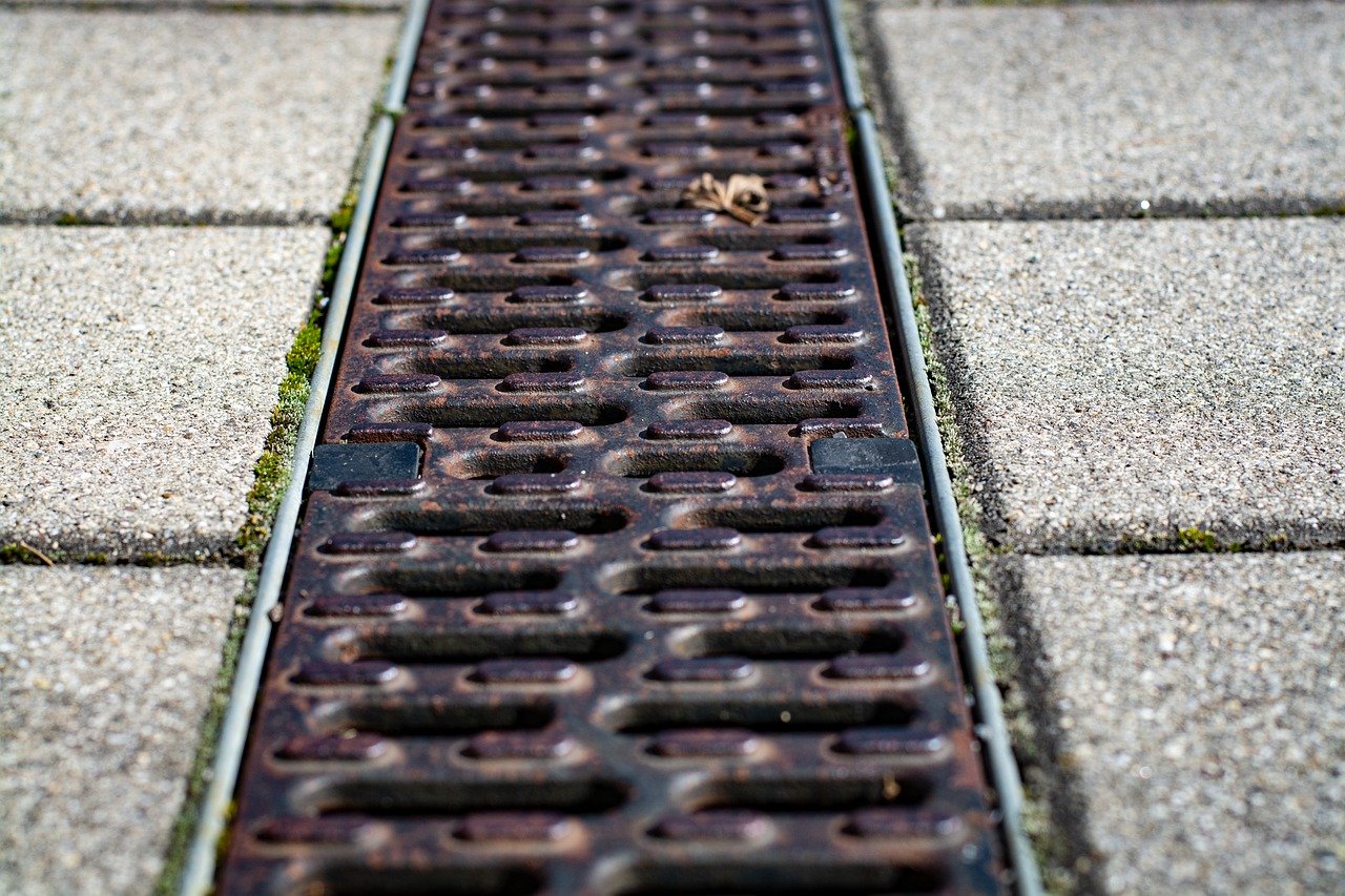Фото: pixabay.com