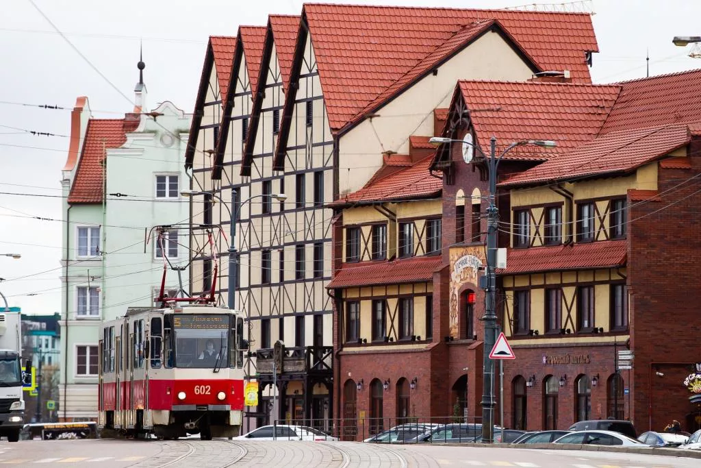 Александр Подгорчук