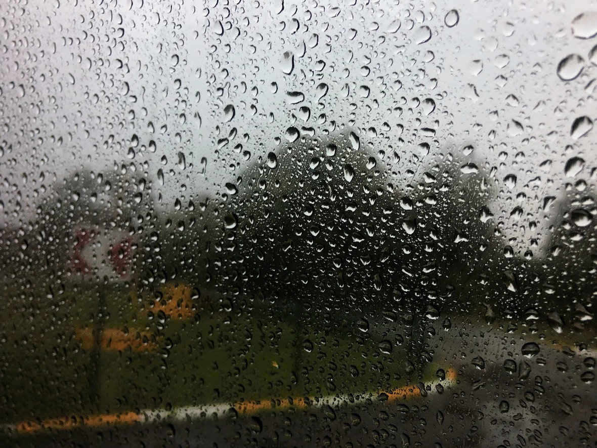 РБК Краснодар