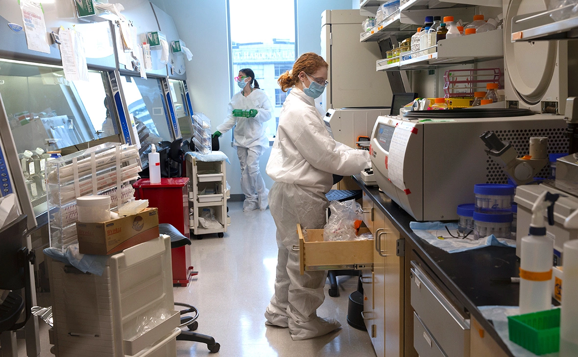 Karen Ducey / Getty Images