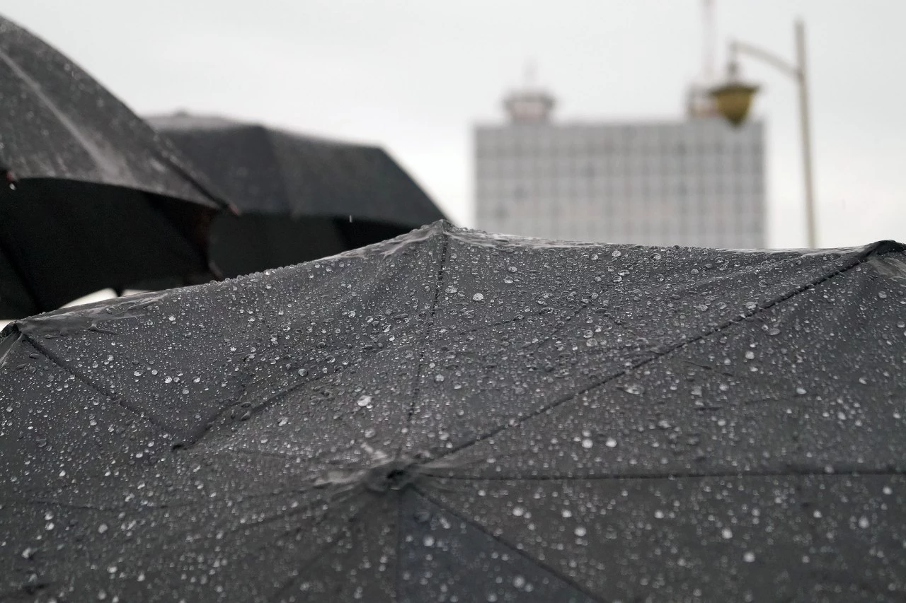 Александр Подгорчук