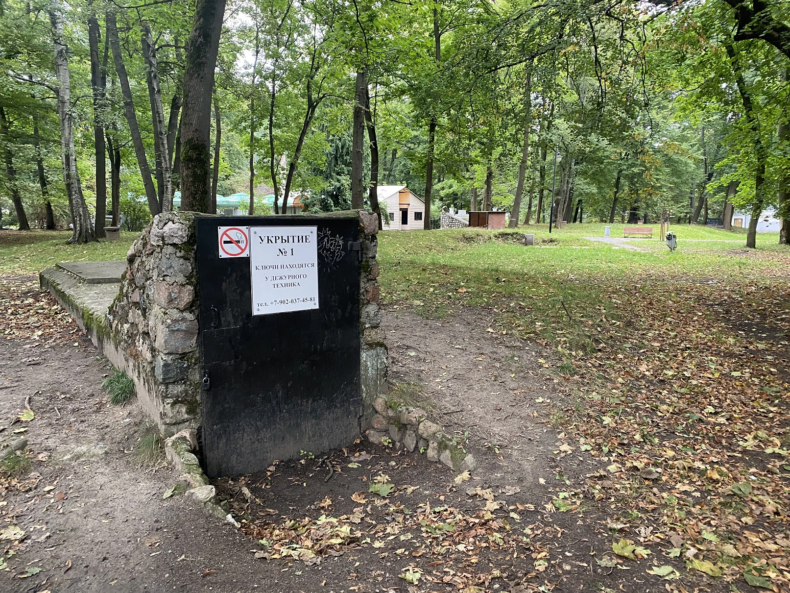 Александр Подгорчук