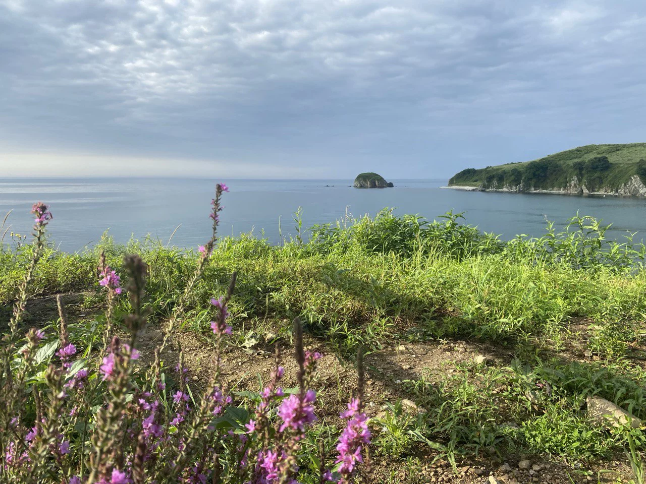 РБК Приморье