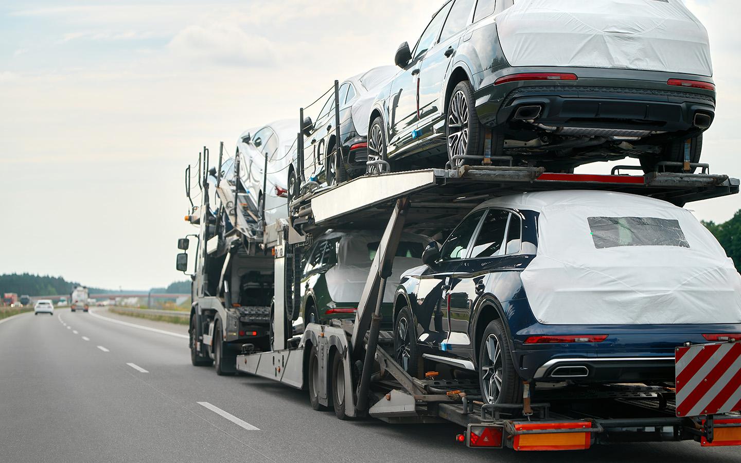 Фото: alexgo.photography / Shutterstock / FOTODOM