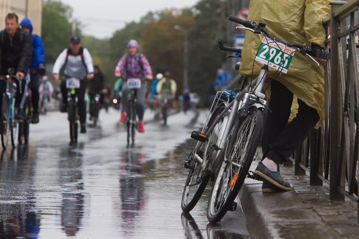 Александр Подгорчук