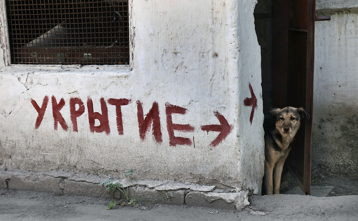 Владимир Гердо / ТАСС