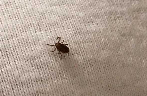 пресс-служба правительства Приморского края