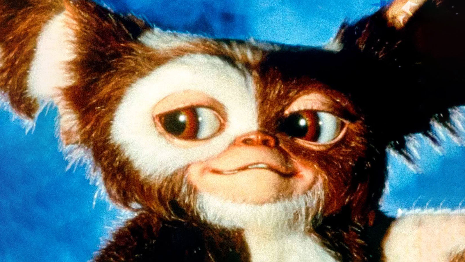 Кадр из фильма «Гремлины» (1984)