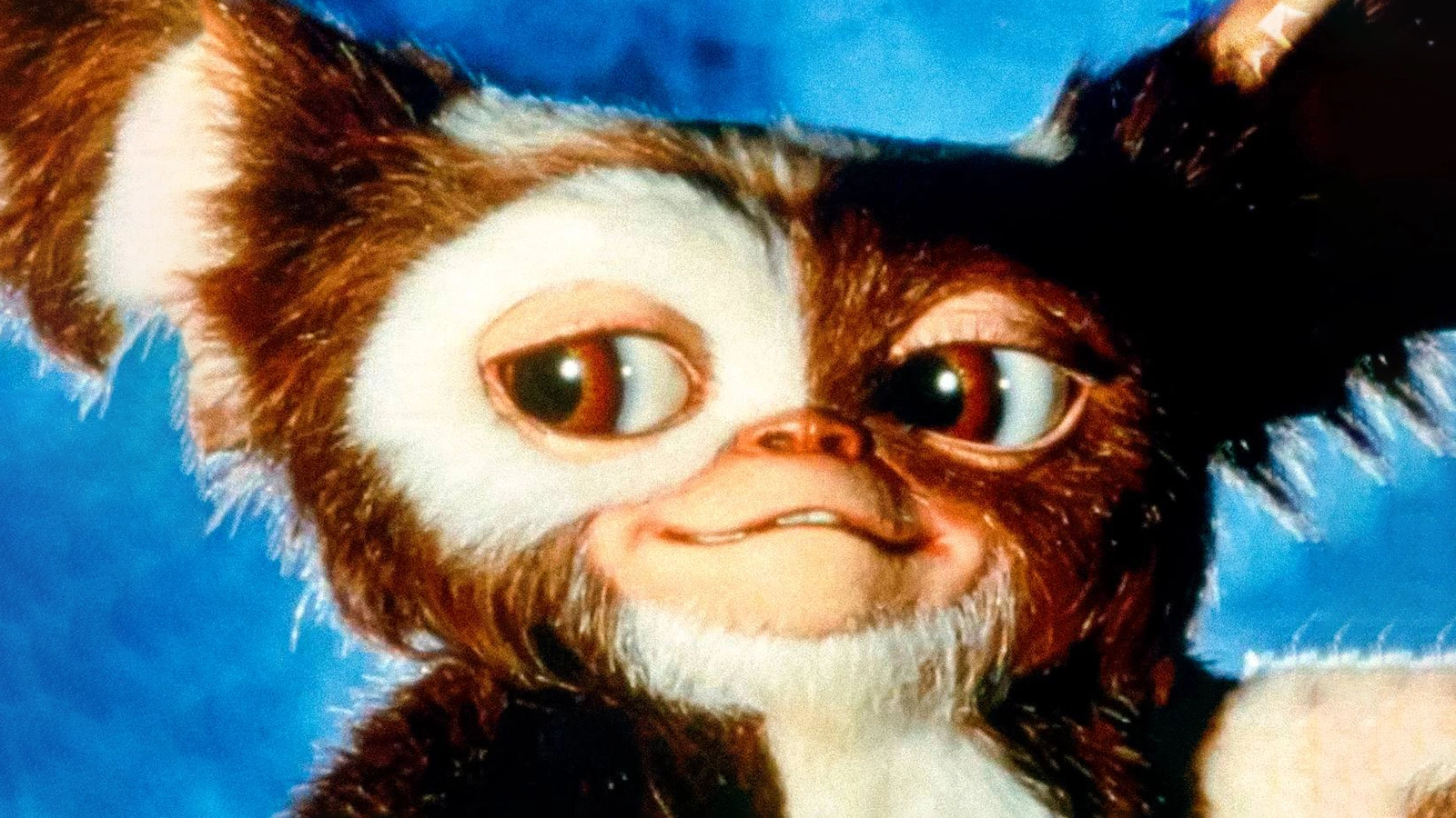 Кадр из фильма «Гремлины» (1984)