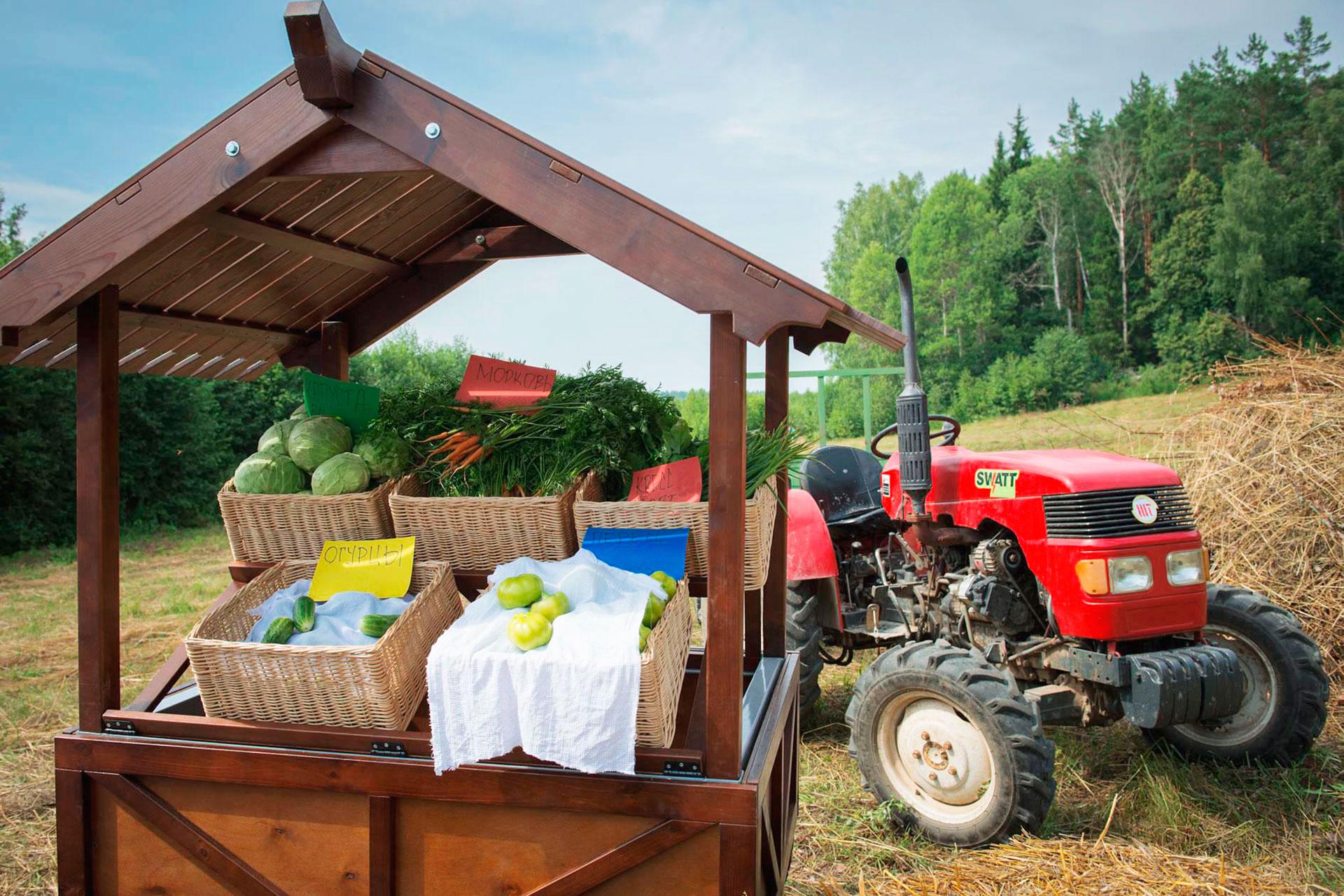 Ферма &laquo;Никола-Ленивец&raquo;