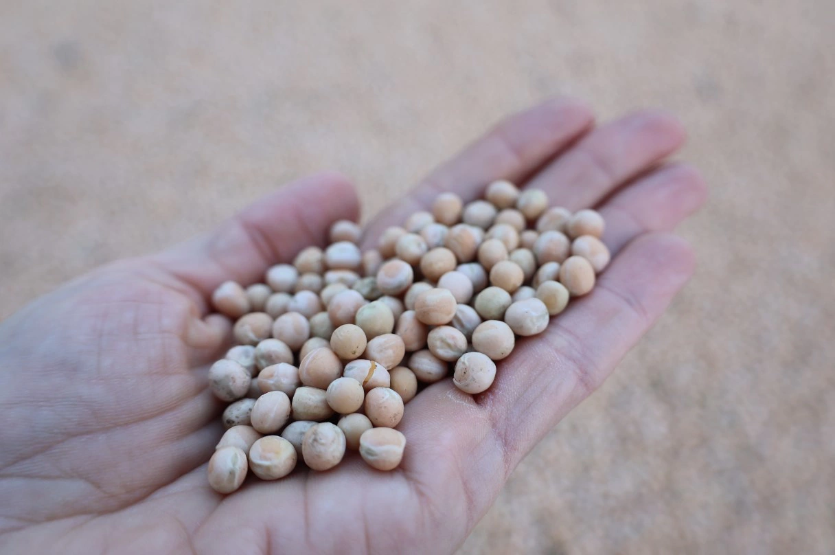 Екатерина Сычкова / РИА URA.RU