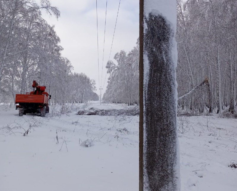 Фото: Пресс-служба РЭС