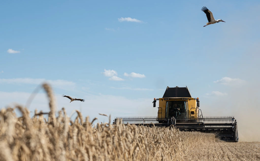 Alexey Furman / Getty Images