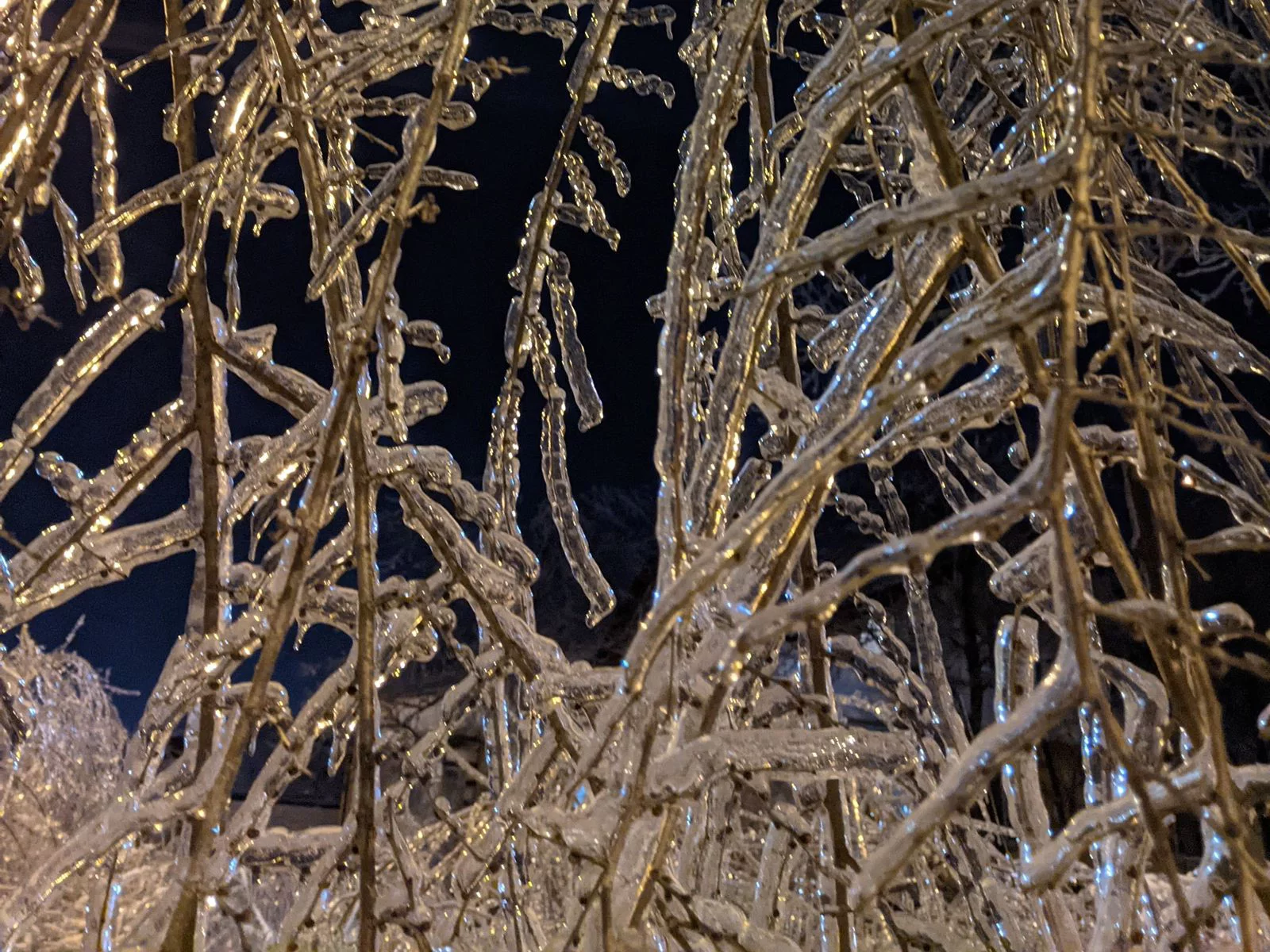 РБК Приморье