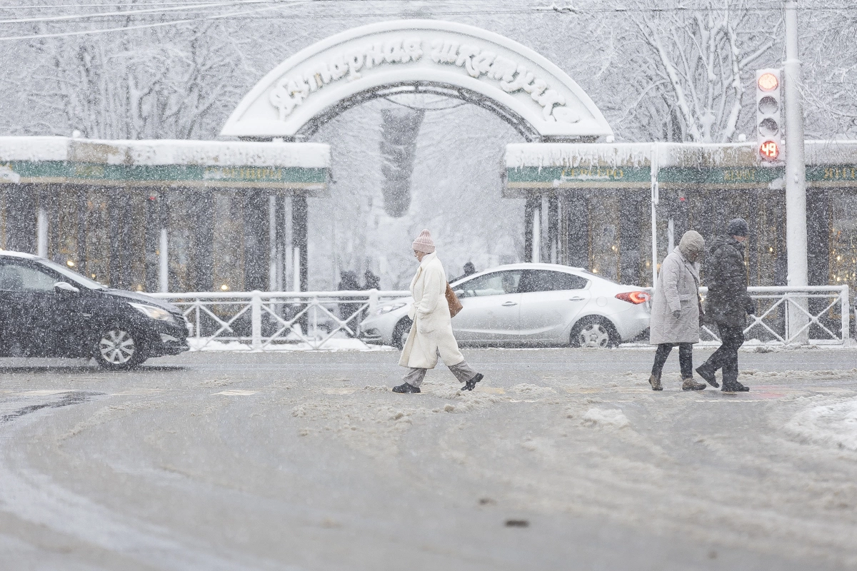 Александр Подгорчук