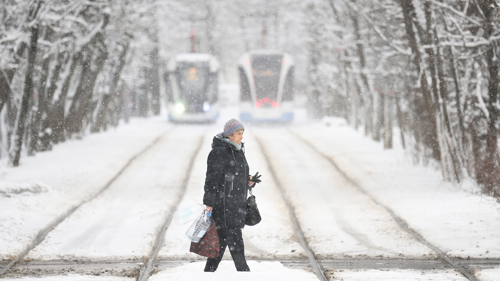 Синоптик сообщила о погоде на Новый год в Москве. Ждать ли снега