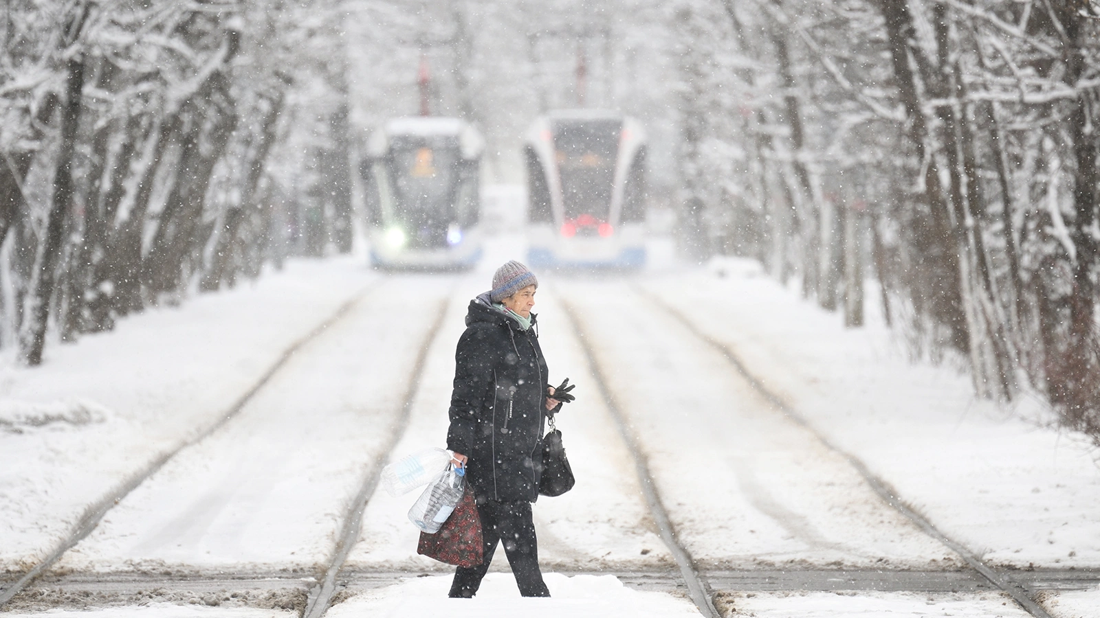 Синоптик сообщила о погоде на Новый год в Москве. Ждать ли снега
