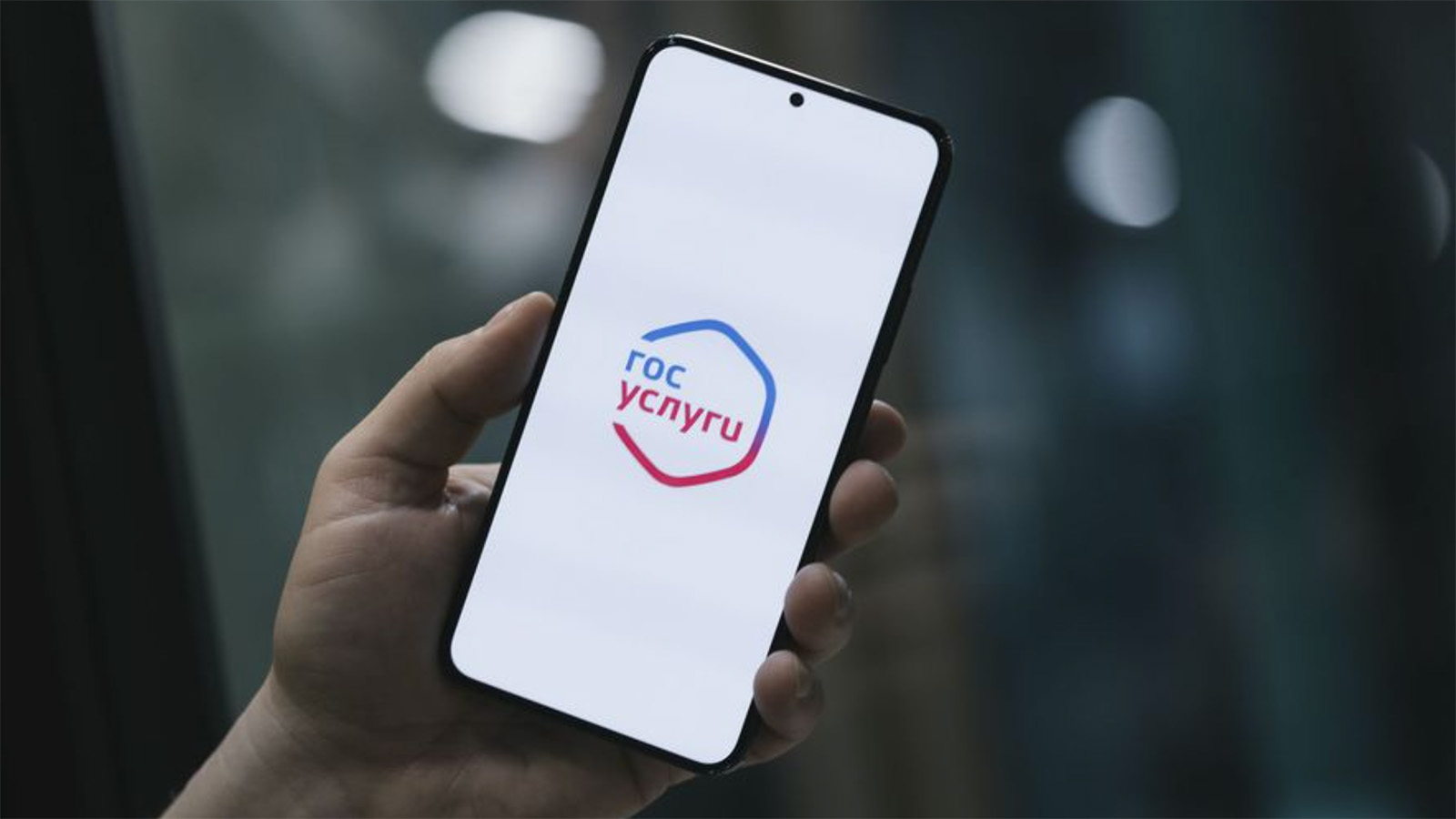 На «Госуслугах» появился тренажер для подготовки к ЕГЭ. Как он работает