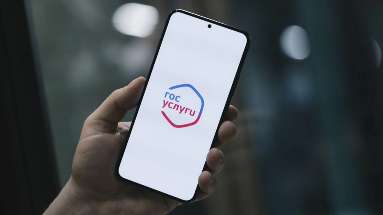 На «Госуслугах» появился тренажер для подготовки к ЕГЭ. Как он работает