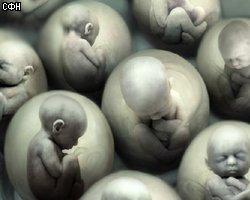 Ученые США: Клонировать человека невозможно