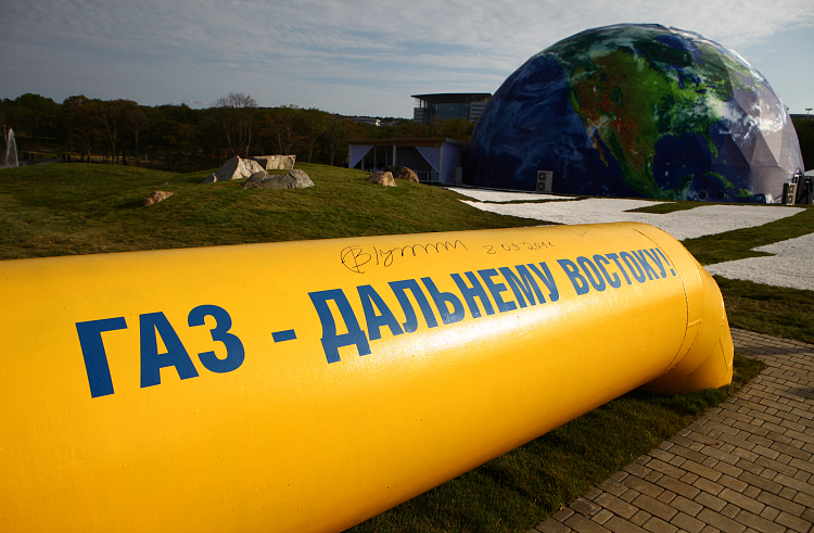 Правительство Приморского края