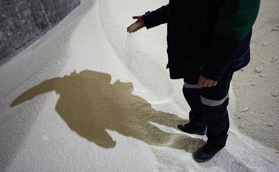 Петр Ковалев / ТАСС