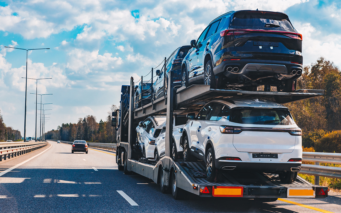 Фото: nblx / Shutterstock / FOTODOM