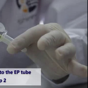 Видео:The Hong Kong University of Science and Technology
