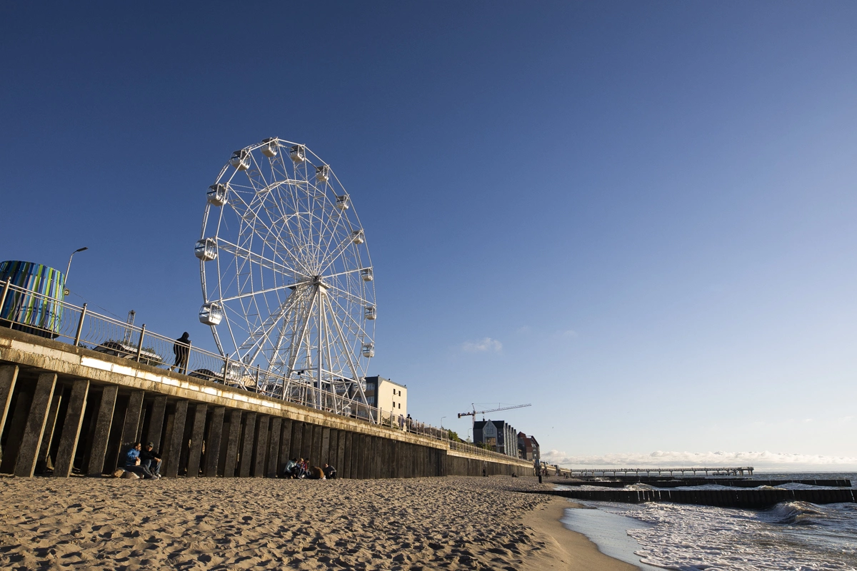 Александр Подгорчук