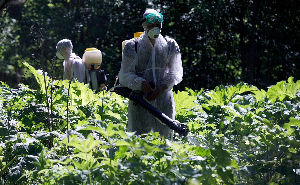 Михаил Почуев / ТАСС