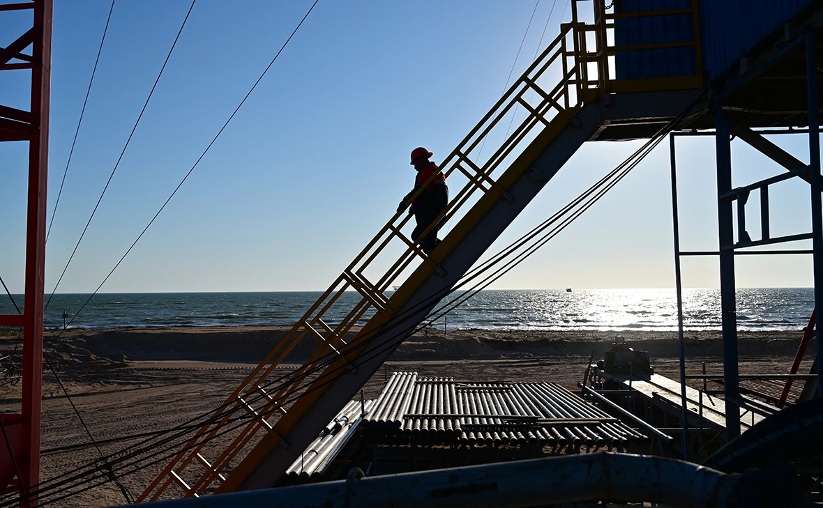 Vilshanskyi / Shutterstock