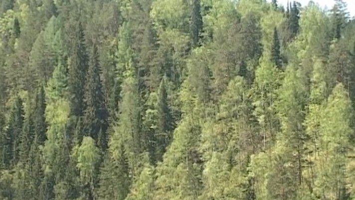 Фото: РБК Пермь