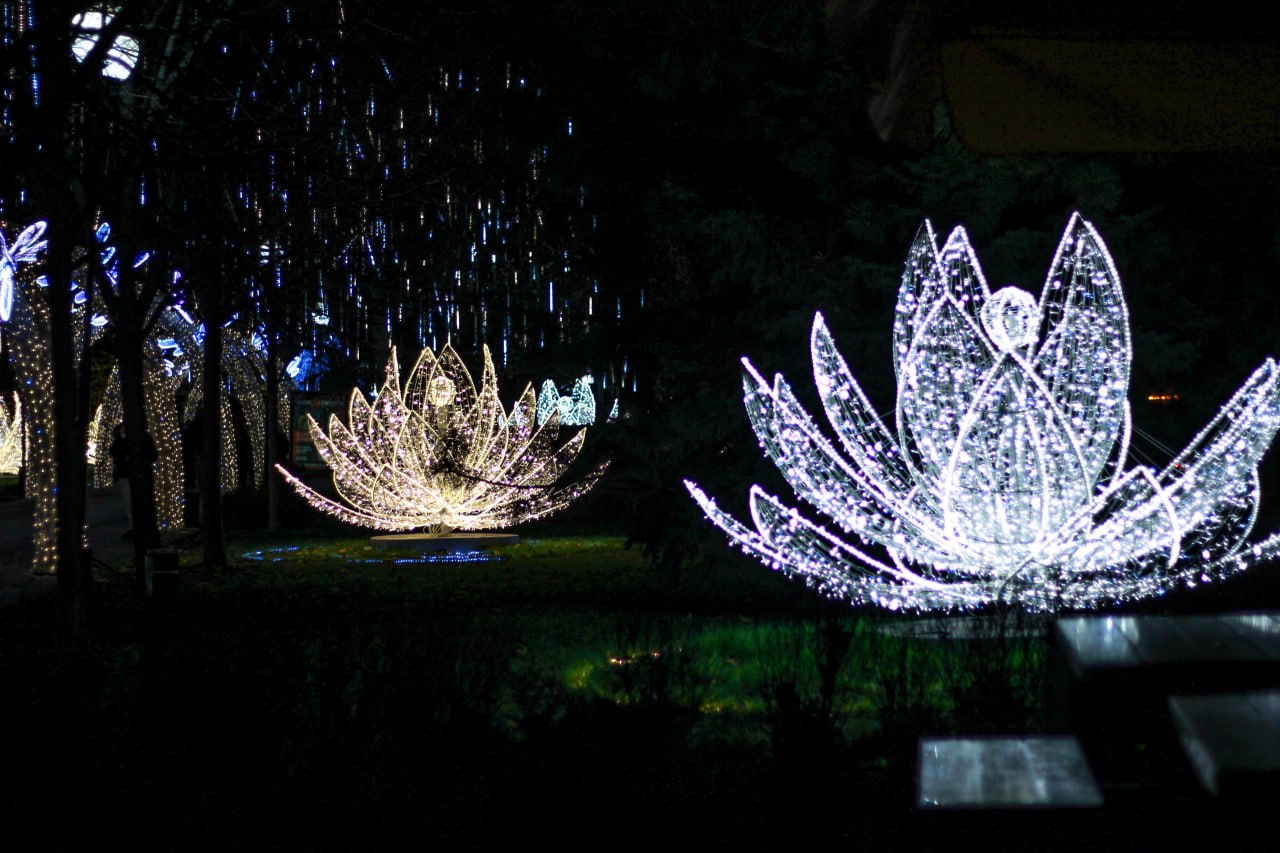 Фото: РБК Краснодар