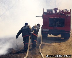 Жертвами лесных пожаров в РФ стали 40 человек