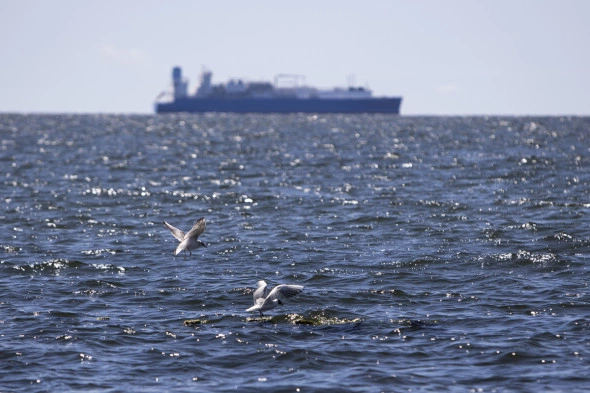 Александр Подгорчук