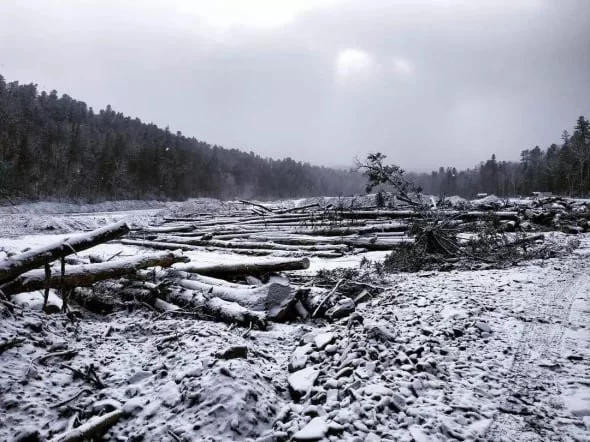 РБК Приморье