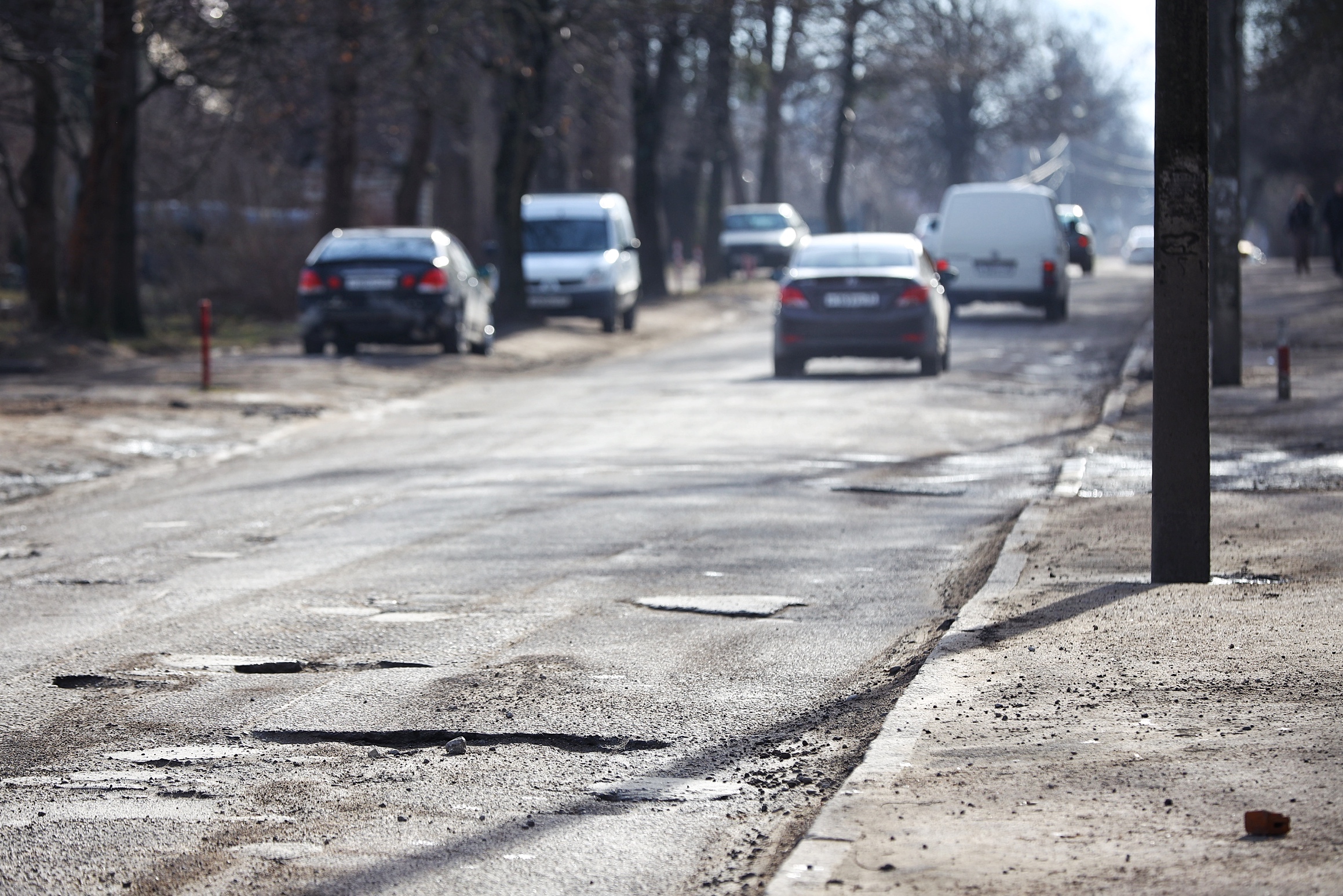 Фото: Александр Подгорчук