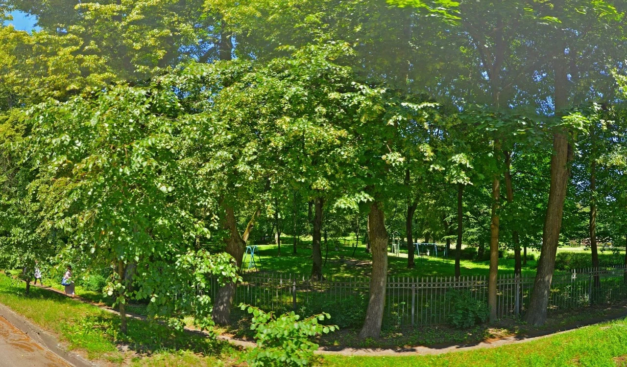 Яндекс Панорамы