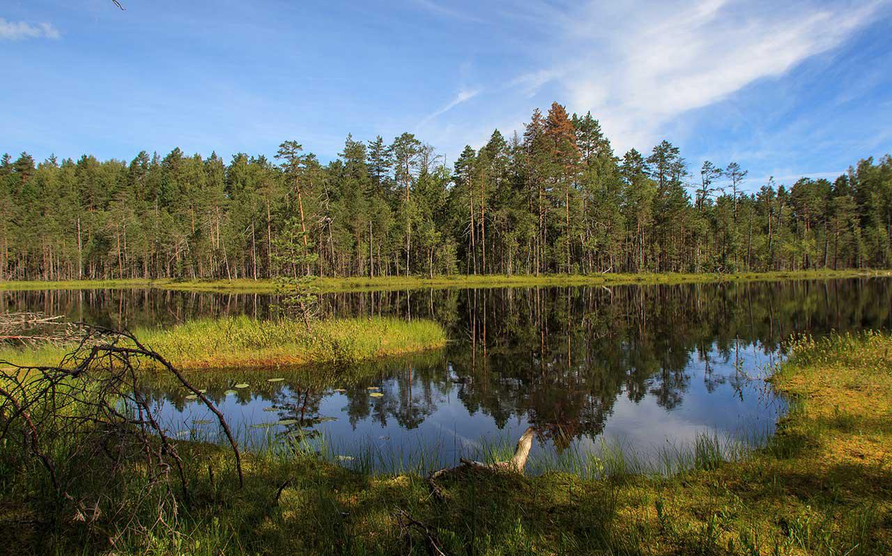 Фото: Shutterstock