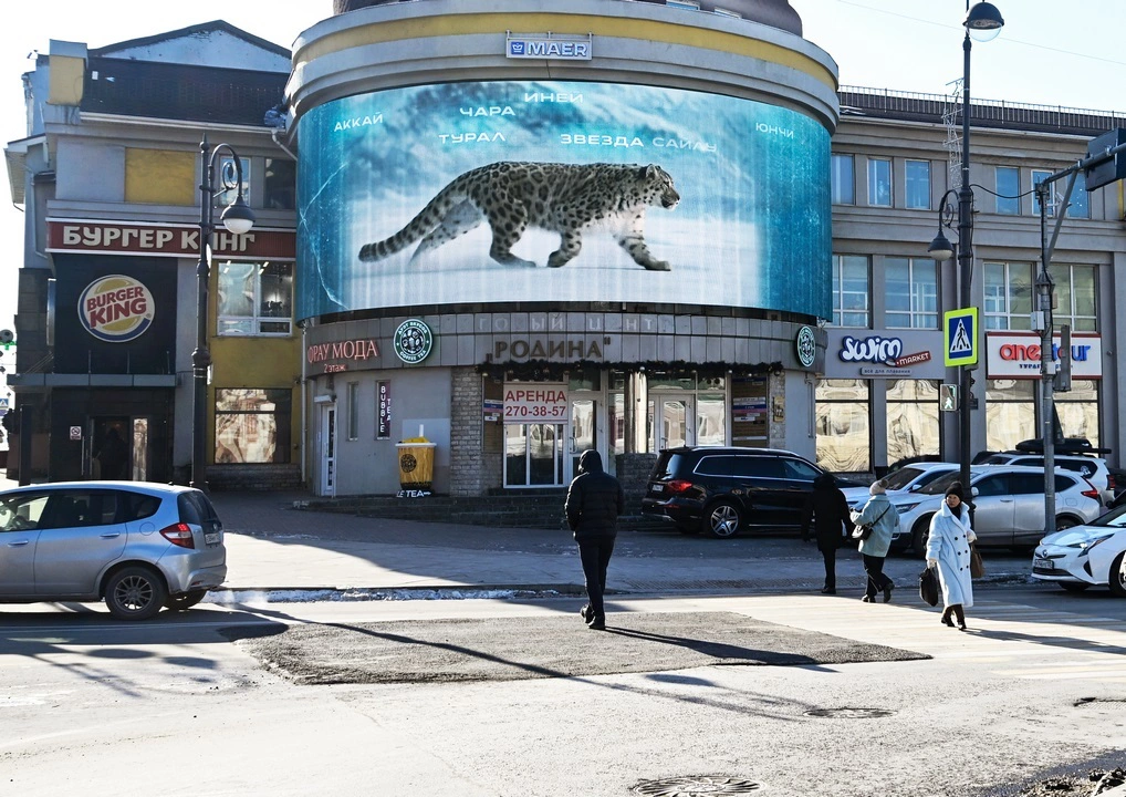 «Ирбис» и «Маер» запустили кампанию «Защитим хранителей гор»